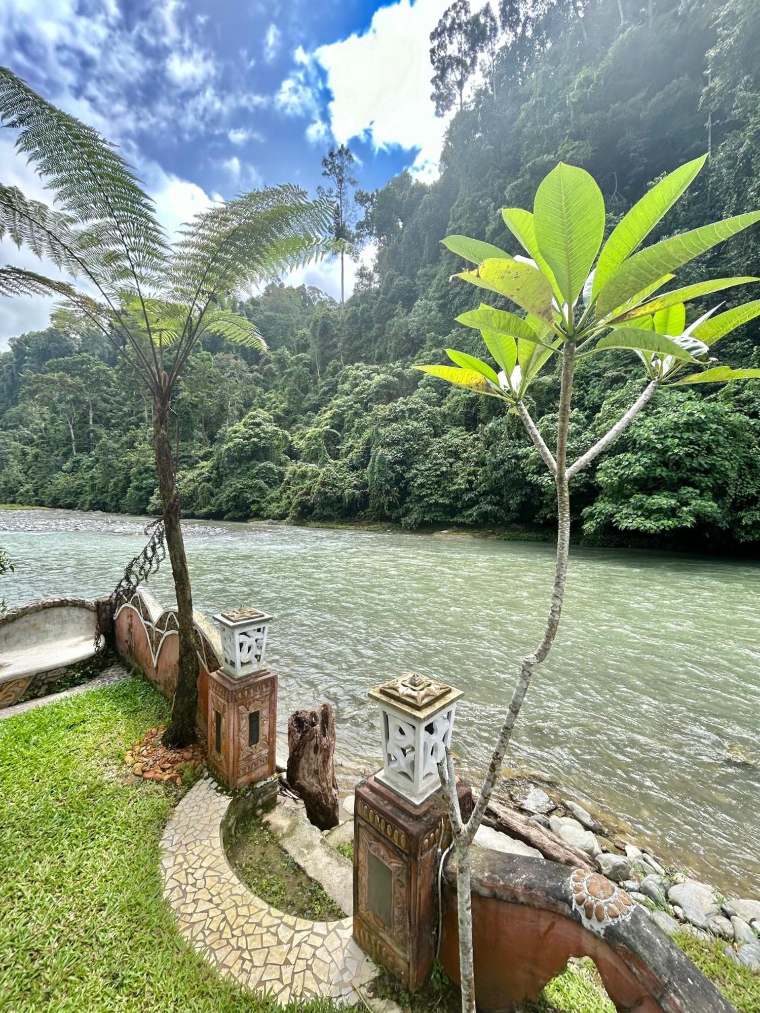 Aussie Inn Bukit Lawang Extérieur photo