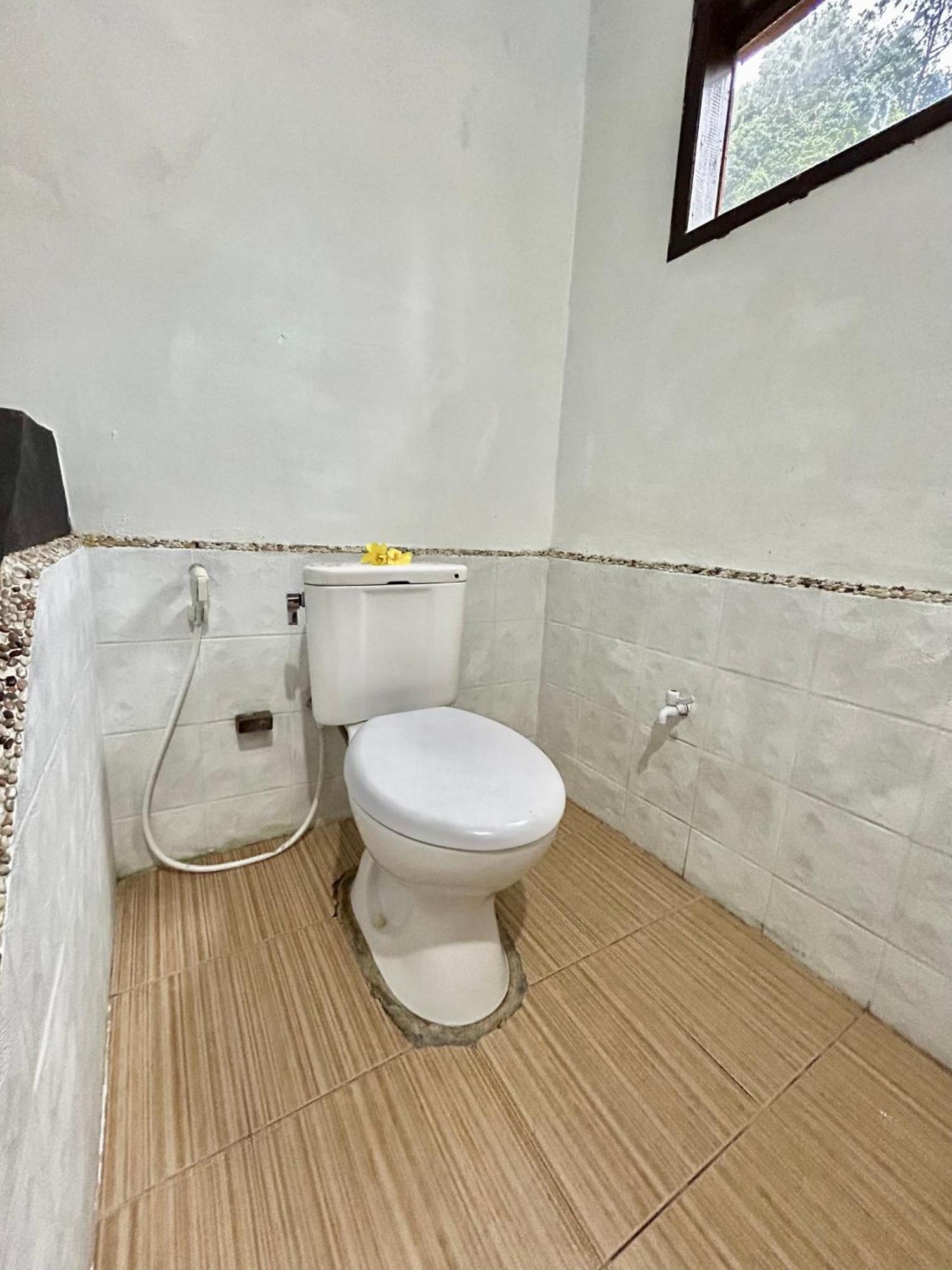 Aussie Inn Bukit Lawang Extérieur photo